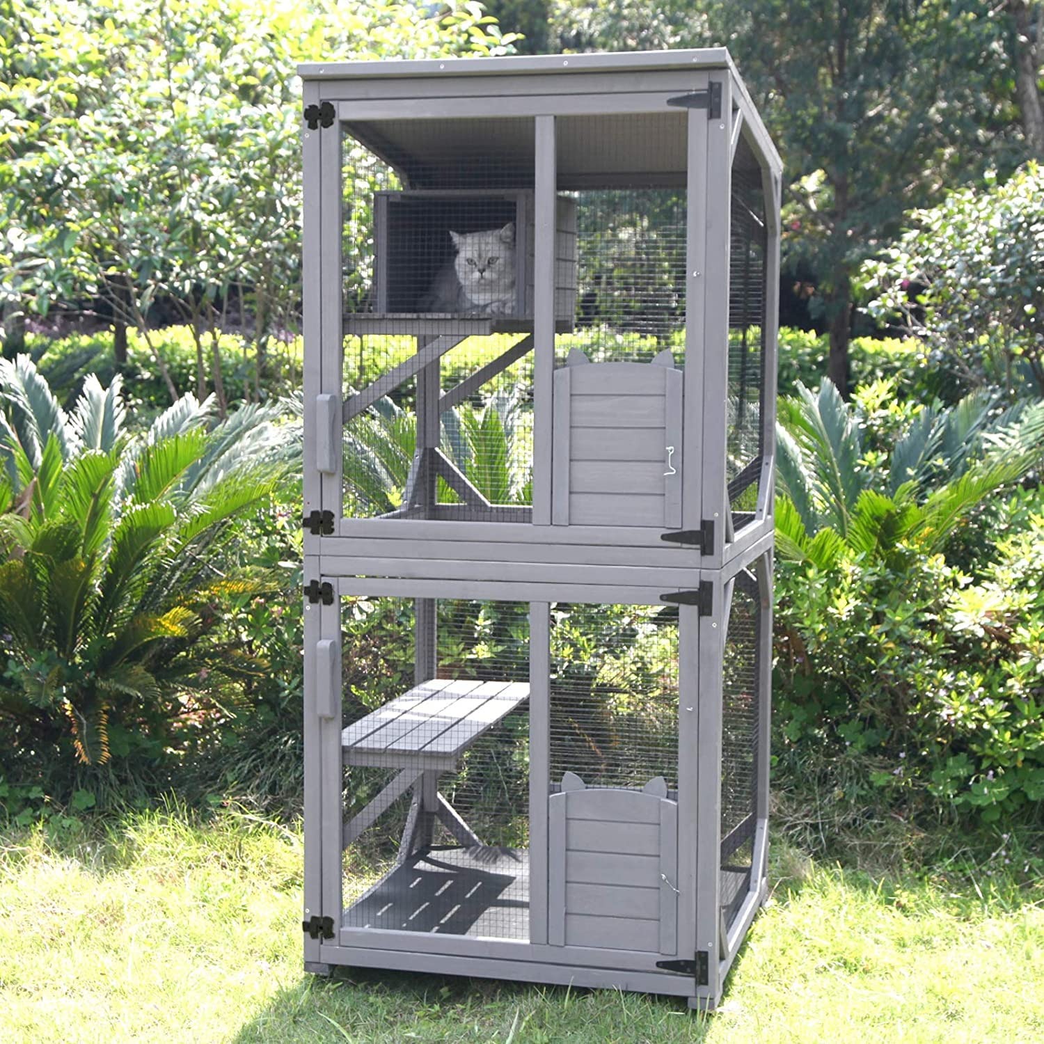 Walk-In Catio Wooden Outdoor Cat Enclosure: image 7